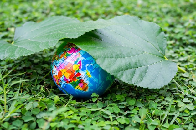 Srodowisko i ekologia w jezyku niemieckim na co warto zwrócić uwagę?